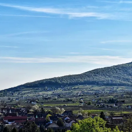 Pitypang Vendeghaz Lejlighed *