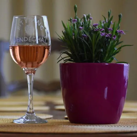 Pitypang Vendeghaz Lejlighed *