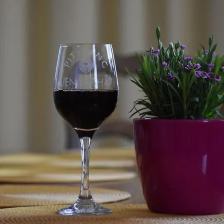 Apartmán Pitypang Vendeghaz Villány