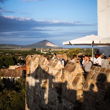 Pitypang Vendeghaz * Villány