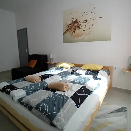 Pitypang Vendeghaz *