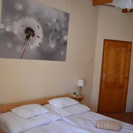 Pitypang Vendeghaz 빌라니