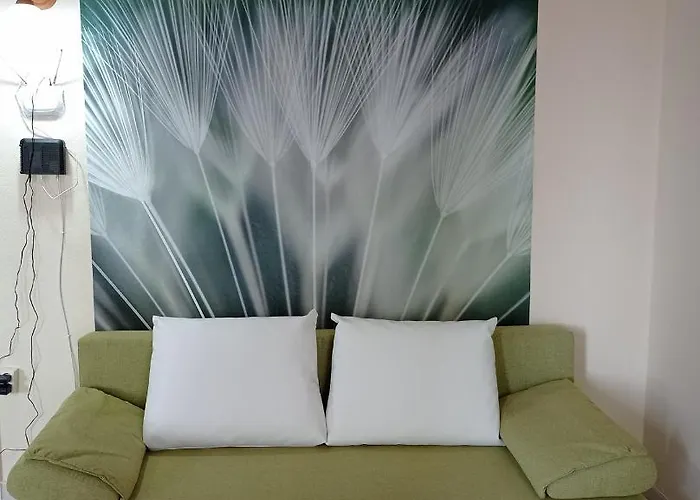 Pitypang Vendeghaz Villány