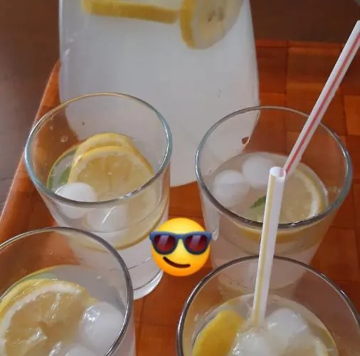 Pitypang Vendeghaz Villány