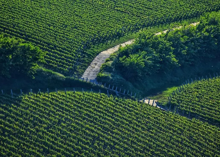 Pitypang Vendeghaz דירה Villány