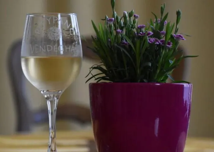 Pitypang Vendeghaz *