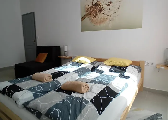 Pitypang Vendeghaz *