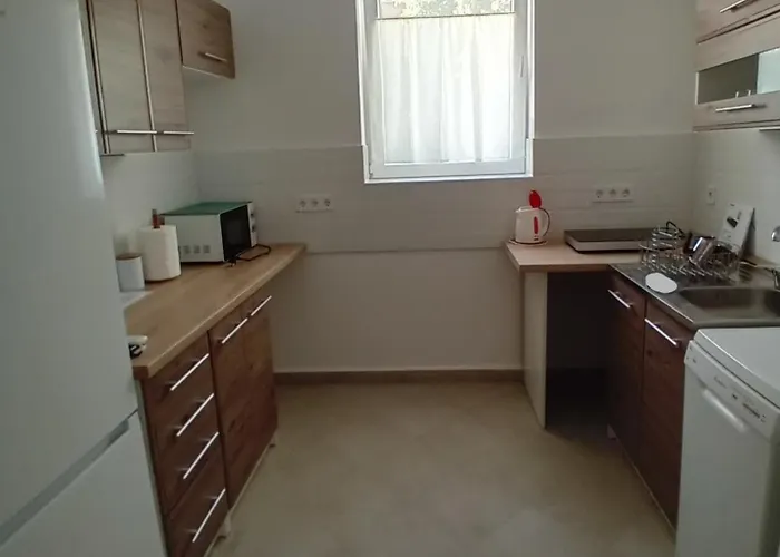 Pitypang Vendeghaz *